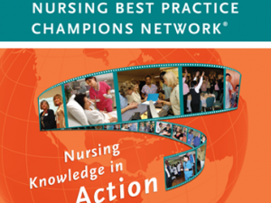Best Practice Champions Workshop (Level 1) - Toronto
