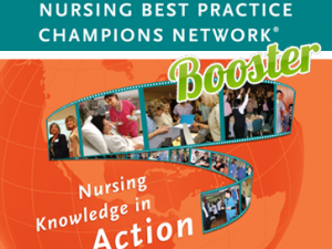 Best Practice Champions Workshop (Level 2) - Thunder Bay