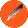 A feather in an orange circle
