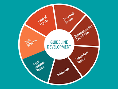 Guideline development