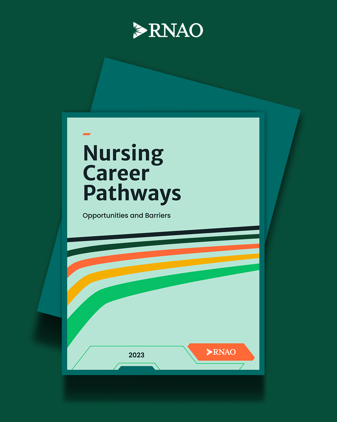 Nurses Career Pathways report