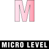 micro level 