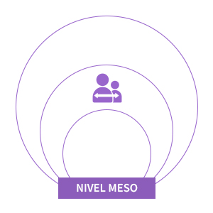 meso level spanish 