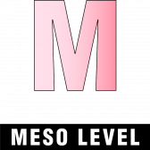 Meso level icon