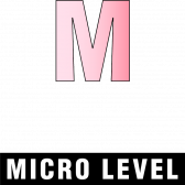 Micro level icon