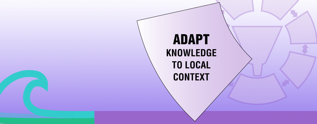Adapt knowledge to local context