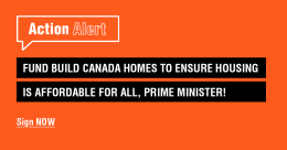 build homes