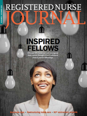2015 Nov Dec RNJ archive cover