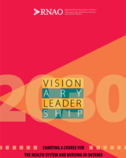 Visionary leadership policy report