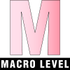 Marco level icon