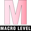 Macro level icon