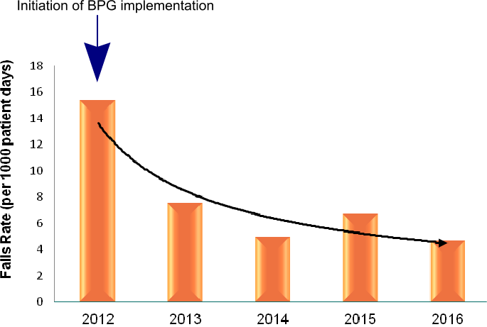 Best Practice Guideline Implementation to Reduce Falls in Older