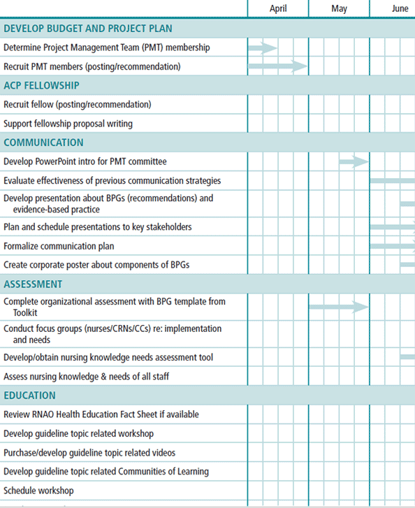 Best Practice Guideline Implementation: Project Plan | Registered